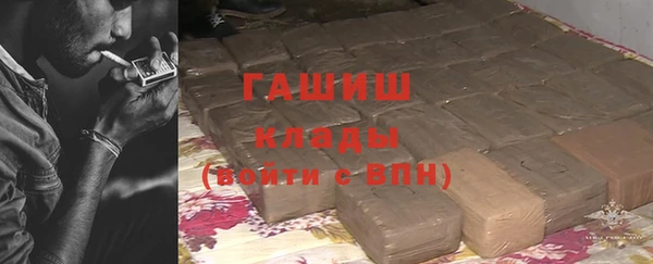 хмурый Алзамай