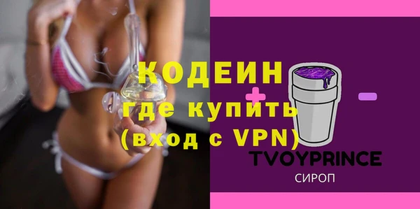 хмурый Алзамай