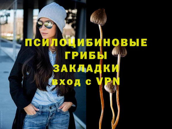 стаф Алексеевка