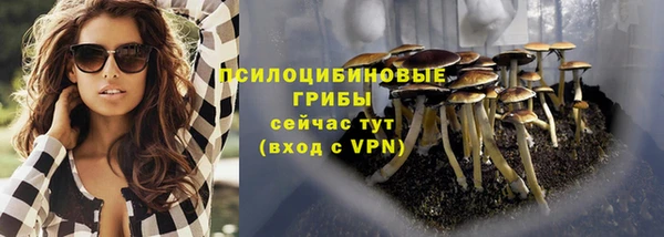 хмурый Алзамай