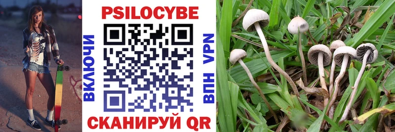 Псилоцибиновые грибы Magic Shrooms  Кореновск 